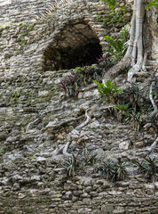 Detail shot of the Mayan temple of Dzibanche in Mexico with overgrowth.