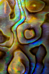 Colorful macro photo of a Mother of Pearl shell.  