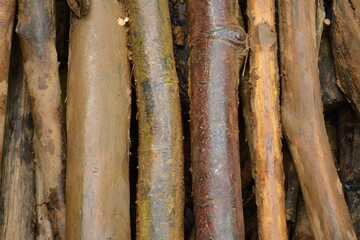 Pile of bamboo lined up background pattern