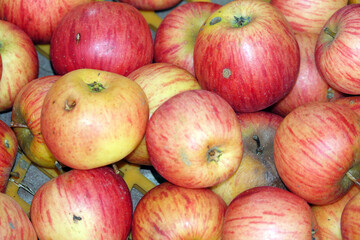 Äpfel