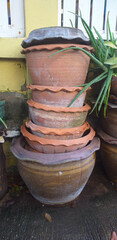 Obraz premium clay pots with plants