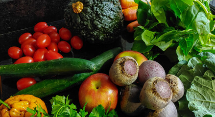 A small variety of fruits and vegetables that have just arrived from the organic fair.