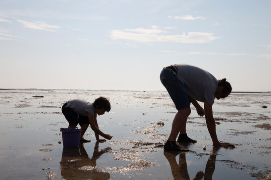 p&egrave;re et fils qui p&egrave;chent &agrave; pied &agrave; mar&eacute;e basse