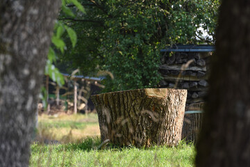 campagne bois couper vert planete village