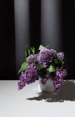 Still life of bright branch of lilac in the enamel jug on white table on grey curtains background