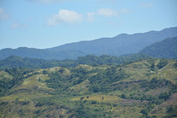 Fototapeta premium Mountain and trees scenic view during daytime