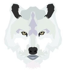 Artic Wolf  | Wildlife