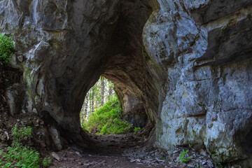 Tunnel in the rock to the birch forest