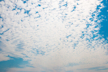 Blue Sky Background with White Clouds. Altocumulus cloud during the day