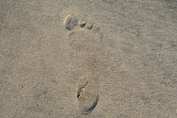 Fototapeta na wymiar Footprint in the sand on the beach, textute, background