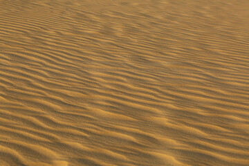 Closeup texture of desert sand dunes on sunset in Oleshky sands, Ukraine