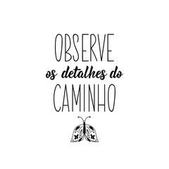 Obraz premium Observe the details of the path in Portuguese. Lettering. Ink illustration. Modern brush calligraphy.
