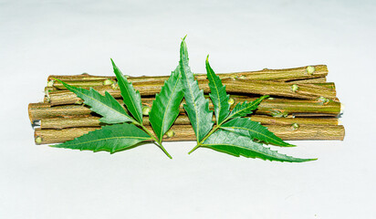 Fresh green neem leaves or azadirachta indica leaves, twigs on white isolated background.