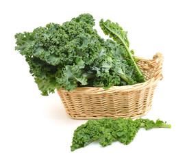 freshly harvested kale cabbage in basket on a white background