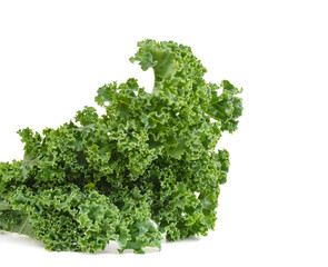 freshly harvested kale cabbage on a white background