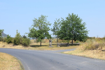 Apfelbaum