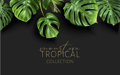 Vector tropical border with green monstera leaves on black background. Luxury exotic botanical design for cosmetics, wedding invitation, summer banner, spa, perfume, beauty, travel, packaging design © purplebird
