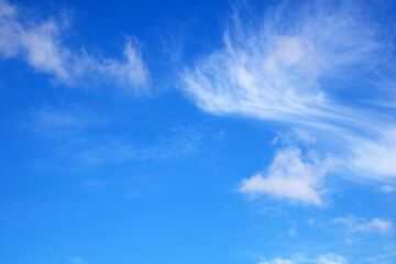 Fototapeta premium Blue sky with delicate white clouds. Can be used as background