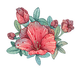Watercolor handmade azalea flower illustration