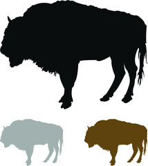 silhouette of a bull