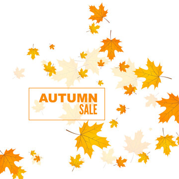 Abstract autumn background with yellow and orange leaves of maple. Vector sale banner with withered foliage.