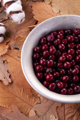 ripe cherry in close-up on a vintage metal plate against the background of autumn leaves.