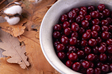 ripe cherry in close-up on a vintage metal plate against the background of autumn leaves.
