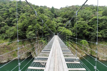 Obraz premium 吉野熊野国立公園 瀞峡