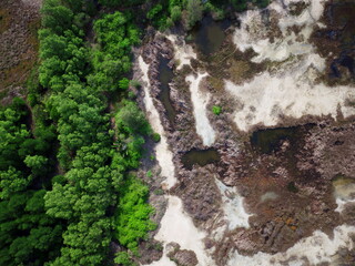 mangrove forest aerial view photography drone 