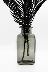 Abstract background of black painted cycad leaves placed in black and transparent glass bottle in front of the white background