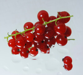  Red currant berries on a mirror surface and the reflection in water drops is distorted         