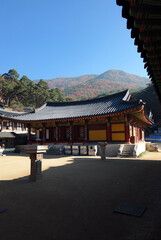 Fototapeta premium South Korea Gimyongsa Buddhist Temple