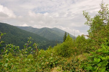 Fototapeta na wymiar Carpathian mountains nature. Mountains landscape sky clouds background.