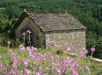 Fototapeta na wymiar Traditional slate architecture in the town of Oliván. Pyrenees Mountains. Aragon. Spain. 