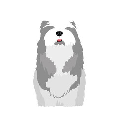 bobtail dog icon, flat style