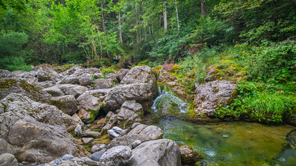 Vue d'un ruisseau avec une cascade au milieu de la nature.