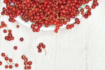 Fresh red currant berries pouring out of white bowl on wooden table