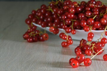 Fresh red currant berries pouring out of white bowl on wooden table