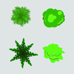 Vector view of different kind of plants illustration. Tree icons. 