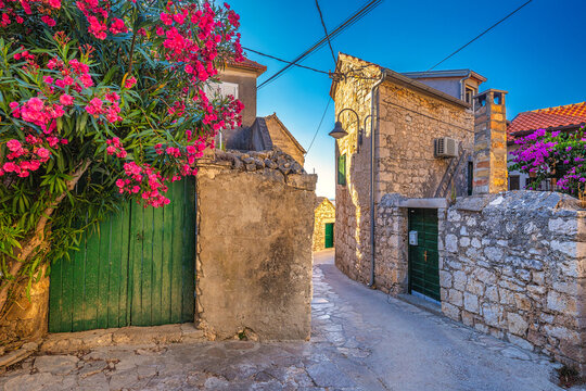 Street of Primosten town, a popular tourist destination on the Dalmatian coast of Adriatic sea in Croatia, Europe.