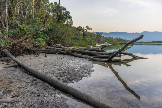 Paisagem do Rio Guaratuba, litoral da cidade de Bertioga, litoral Brasileiro, em um entardecer com o troco da arvore ca&iacute;do ao lado eo reflexo das sombras na &aacute;gua. 