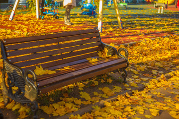 Bench near children playground scattered with yellow foliage, selective focus