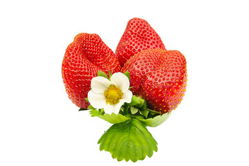 ripe strawberry with flower