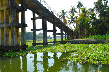 Fototapeta na wymiar Beautiful scenery of backwaters with a pedestrial bridge in view.