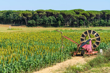 Crop irrigation system near Llagostera.
