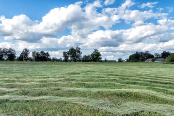 cut meadow for hay