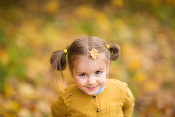 Fototapeta premium cute girl in autumn clothes. child in knitted jacket. walk outdoors. portrait of child in leaf fall. walk outdoors.