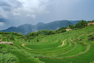 Fototapeta na wymiar Summer terrace in Yunhe County Lishui city Zhejiang province China.