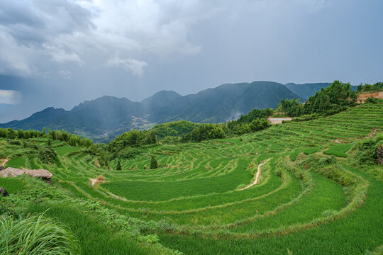Summer terrace in Yunhe County Lishui city Zhejiang province China.