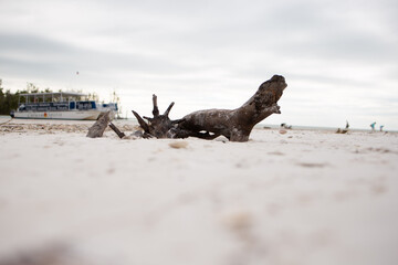 Exploring Marco Island 10000 ten thousand islands secluded beaches 
